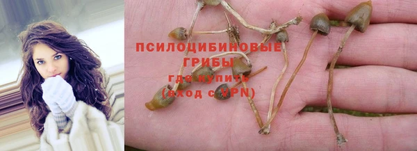 COCAINE Белокуриха