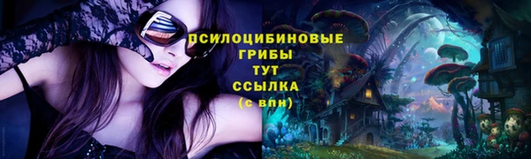 дурь Белоозёрский