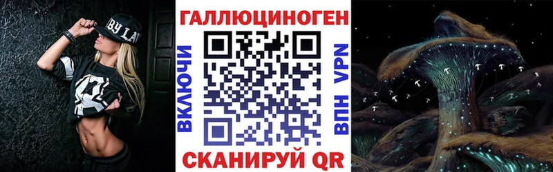 Псилоцибиновые грибы Psilocybe  Гудермес 