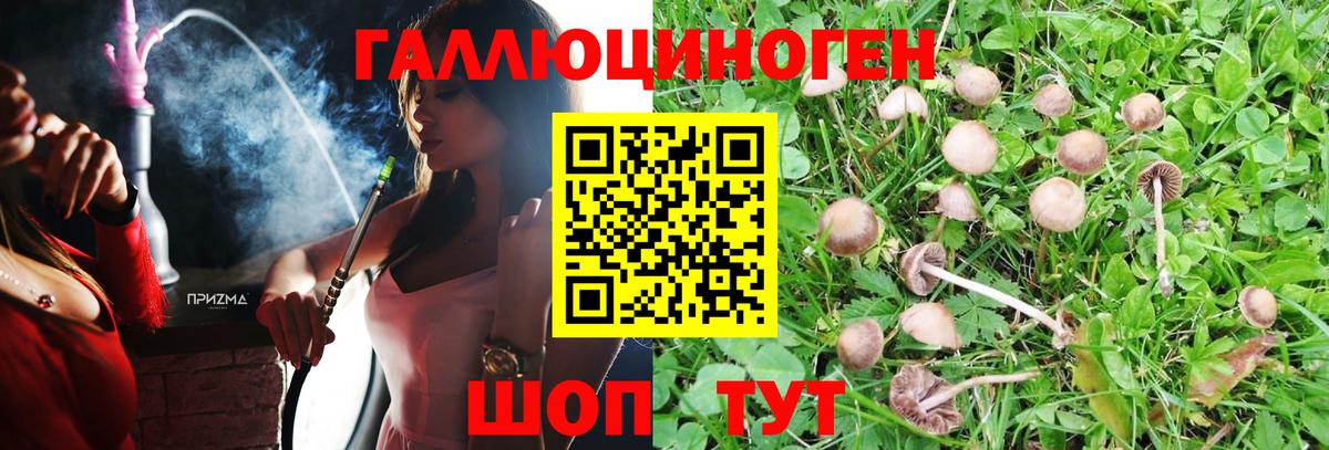 Псилоцибиновые грибы мицелий Гудермес