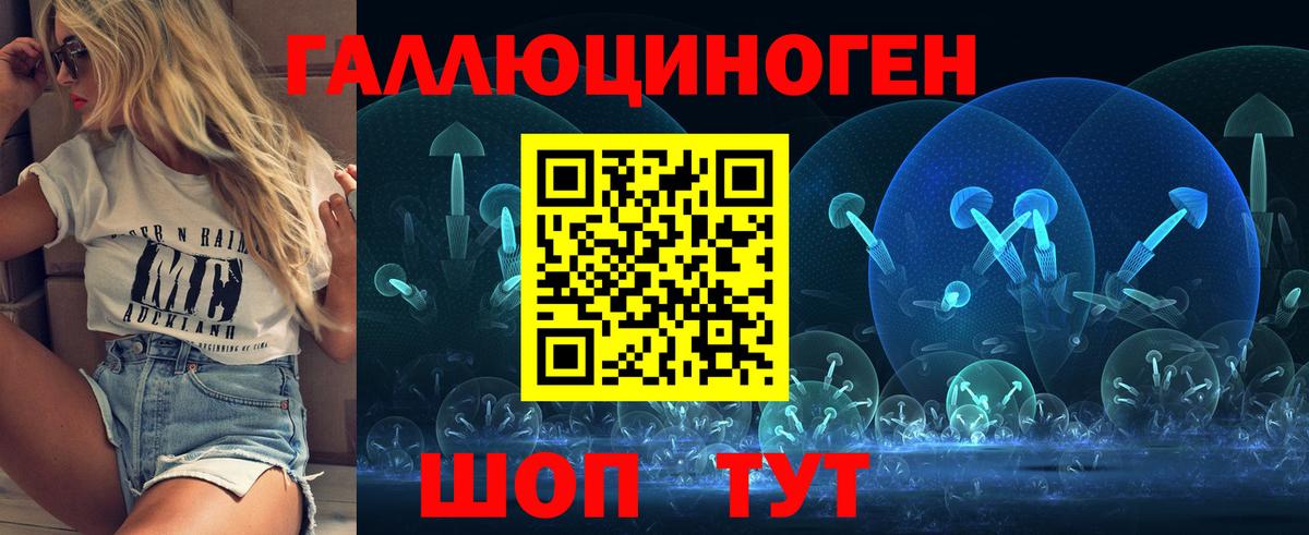 Гудермес  Псилоцибиновые грибы GOLDEN TEACHER  Псилоцибиновые грибы GOLDEN TEACHER  Вход с VPN 
