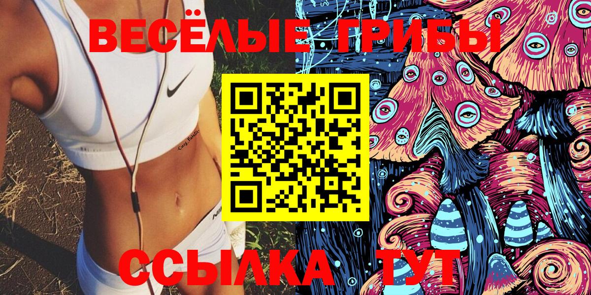 Псилоцибиновые грибы мицелий Гудермес