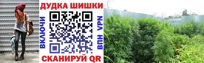 Бошки Шишки VHQ  Гудермес 